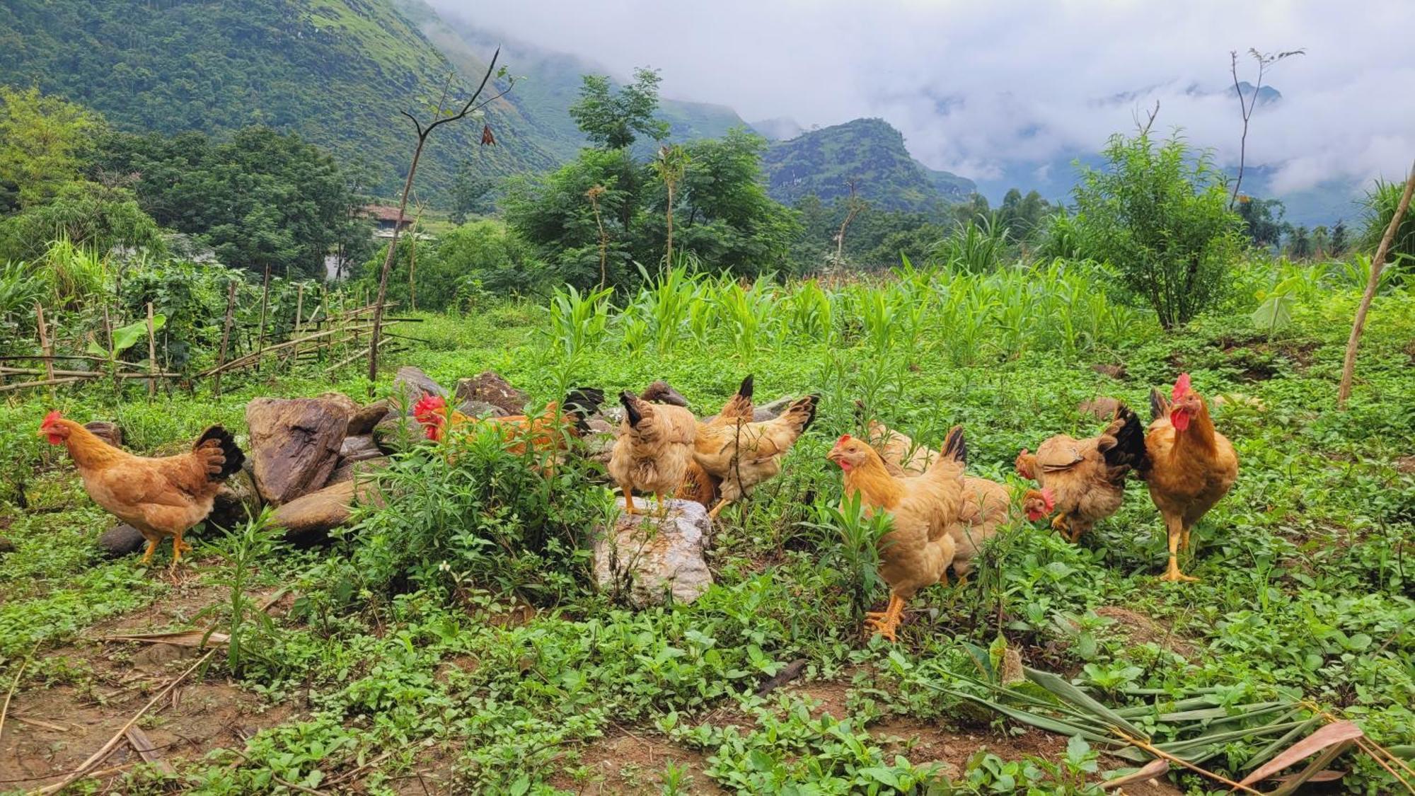 Du Gia View Homestay Làng Cac Szoba fotó